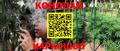 герыч Лесосибирск