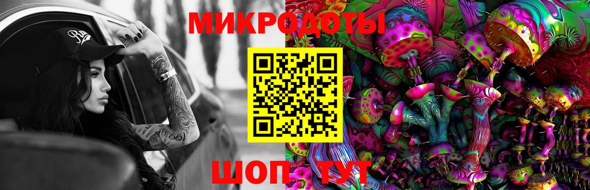 Псилоцибиновые грибы Psilocybe Гурьевск