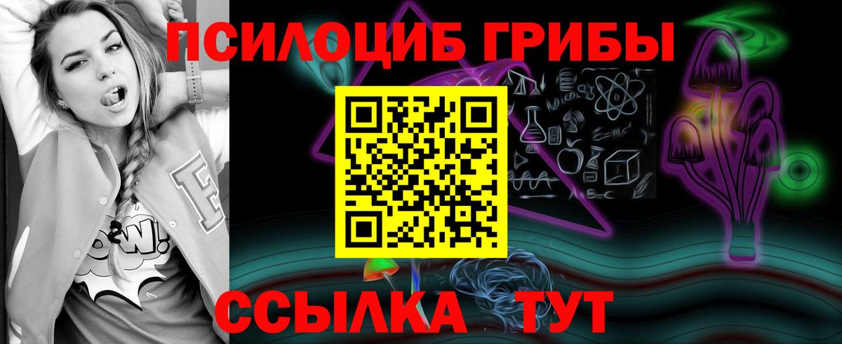 Псилоцибиновые грибы мухоморы  Вход с VPN  Гурьевск 